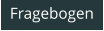 Fragebogen